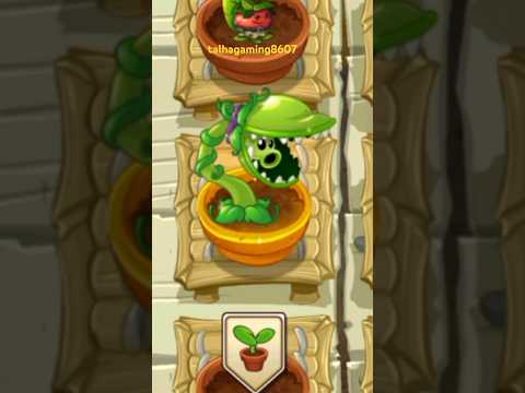 Snap Pea Animation in Zen Garden Plants vs. Zombies 2 || #pvz #plantsvszombies #shorts #ytshorts
