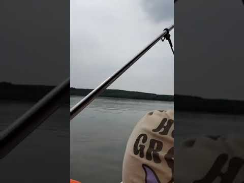 MEKONG DELTA (MY THO-BEN TRE) - 2