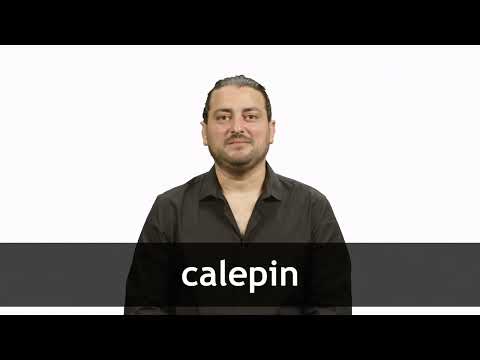 Translate CALEPIN from French into English
