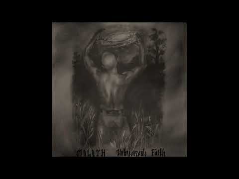 M8L8TH  - Буковый лес