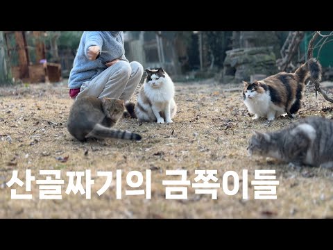 구멍 나고 찢어진 누더기 옷만 입어도 행복한 산골짜기의 삶