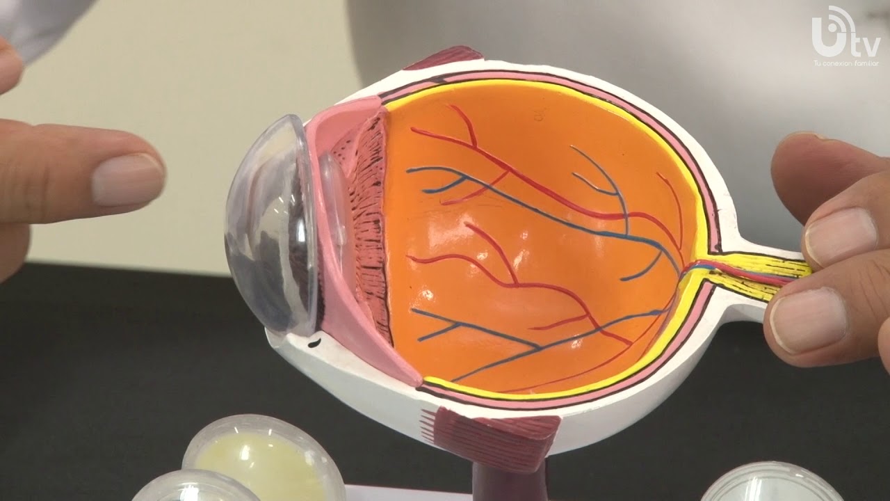 Edgar Angel Hidalgo Pecho-57