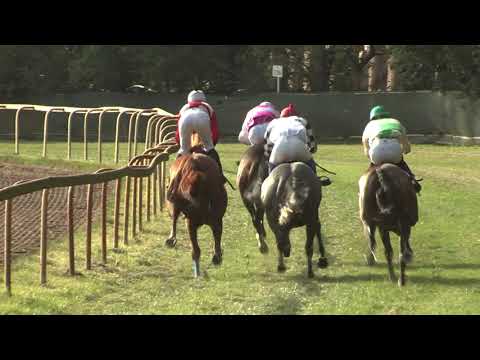 5. dostih - Cena Rabbit Trhový Štěpánov - dostihy Lysá nad Labem 28. 9. 2021