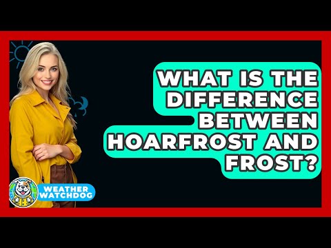 What Is The Difference Between Hoarfrost And Frost? - Weather Watchdog