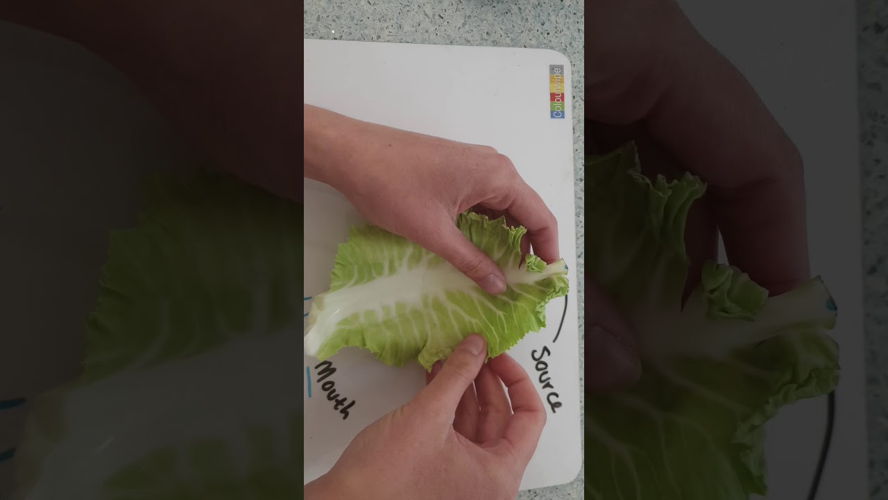 River basin key terms