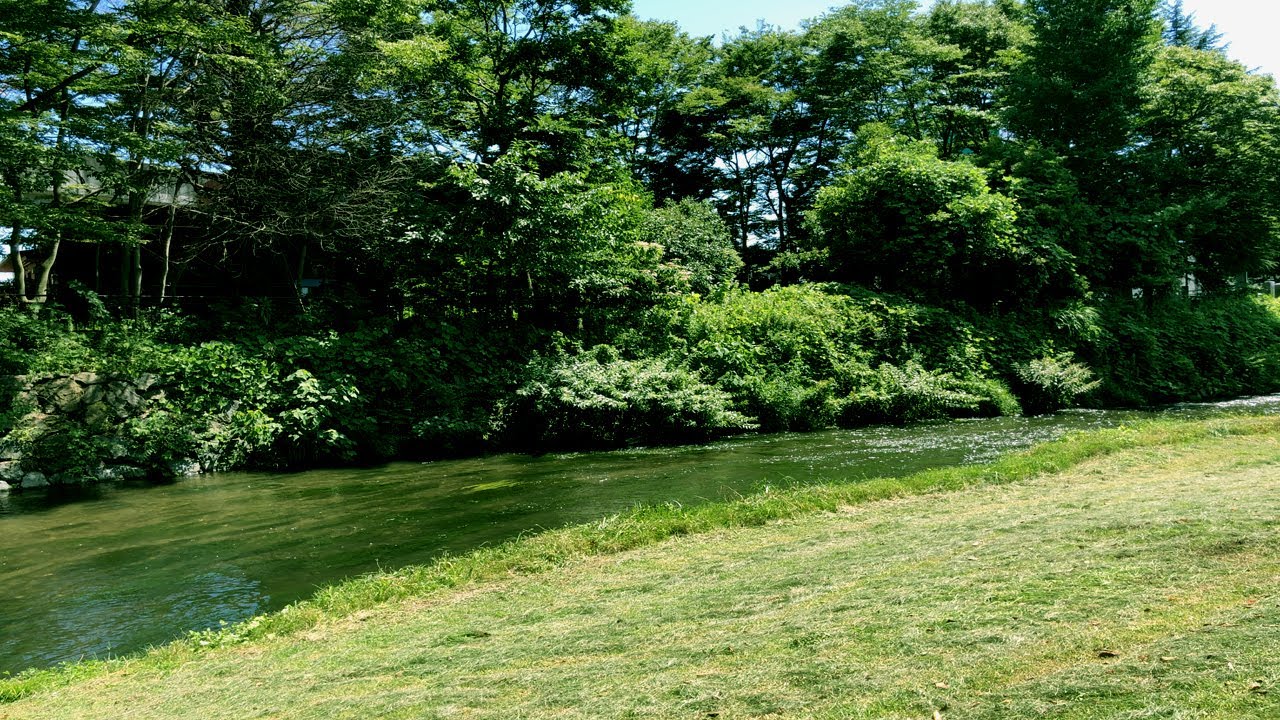 【碧と緑】清流に揺蕩う蝉のコーラス【夏の音】