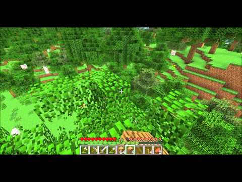 Hausbau vorbereitung Minecraft LP-SP 4#