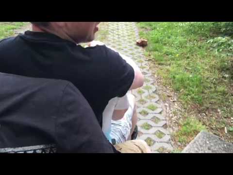 Halt mal mein Bier.....