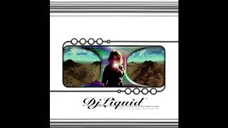 DJ Liquid - Electroacidfunk [FULL MIX]