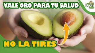 30 PODEROSOS BENEFICIOS y cómo consumirla // HUESO DE AGUACATE 🥑 SEMILLA DE PALTA