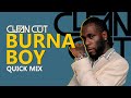 Burna Boy Quick Mix 2025