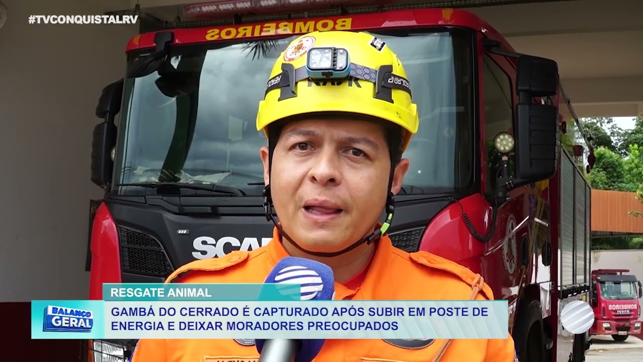 Corpo de Bombeiros resgata animal silvestre preso em poste de energia no bairro Pioneiro