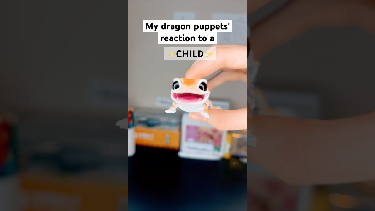 My dragon’s reaction to a child #dragonpuppets #paperdragon #paperpuppet