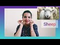 Open Sesame Preschoolers Toddlers Myra Preschool