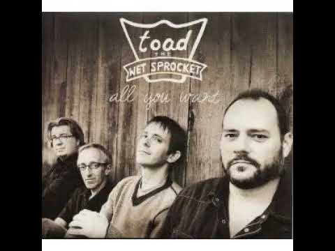 Thumbnail for Toad The Wet Sprocket - All I Want (1 Hour) by Randy Guss