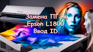 Замена ПГ на Epson L1800. Ввод ID. фото