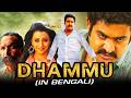 Suryavaanshi The Family Dhammu Bengali Dubbed Full Movie Jr NTR Trisha Krishnan Karthika Nair
