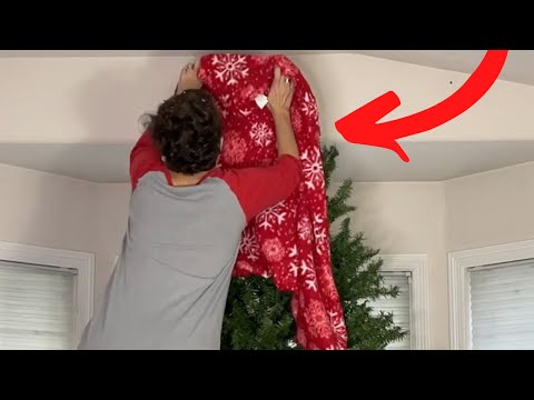 YouTube video about Adoreable Ideas for Decorating Your Christmas Tree