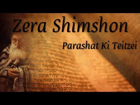 Parashat Ki Teitzei - Zera Shimshon - When you go to war... - Rabbi Alon Anava