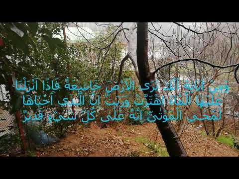 şimşek, gök gürültüsü, yağmur sesi