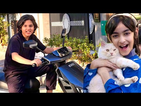 My Beautiful Cats🐈 || Entertainment