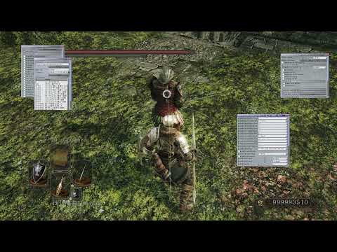 Dark Souls 2 - Grab Validation Debug Display