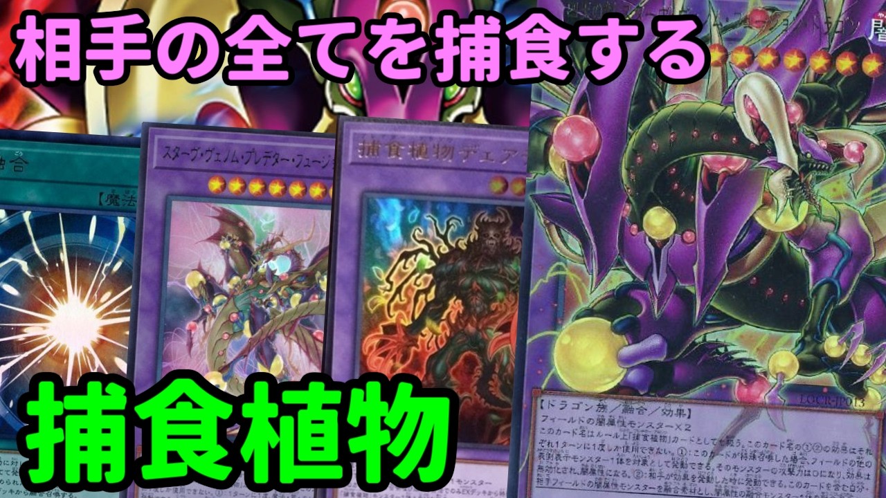 【#遊戯王】新たなスターヴの追加で相手を捕食しまくり！除去性能大幅ＵＰの『捕食植物』紹介します！【#トレカカルテ】