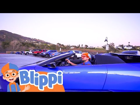 Learn about Sports Cars | Cars, Trucks & Vehicles Cartoon | Moonbug Kids | Blippi
