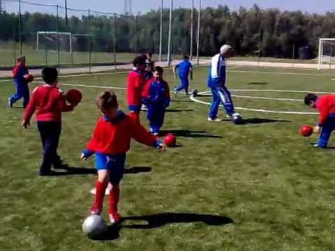 Piccoli amici in allenamento