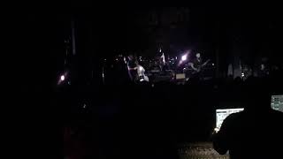 tiger army jungle cat 10-27-16