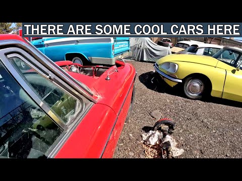 Thumbnail for A Yard Full of Forgotten MG's, Citroën's, Auto Union and more. by Auto Union