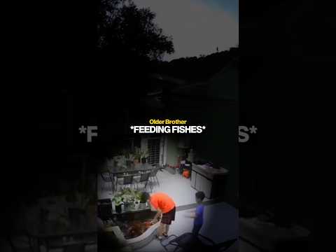 When Pushing Your Older Brother Completely Backfires