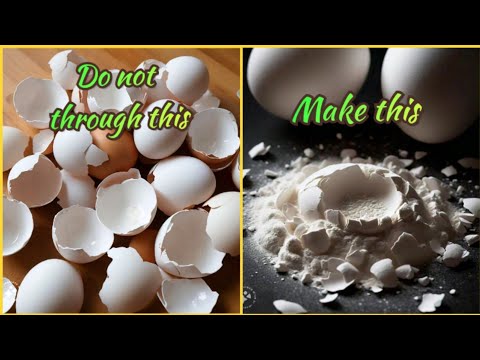 Never throw egg shells again | Make powder from egg shells for your plants