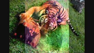 The Seekers Well,Well,Well 1966)