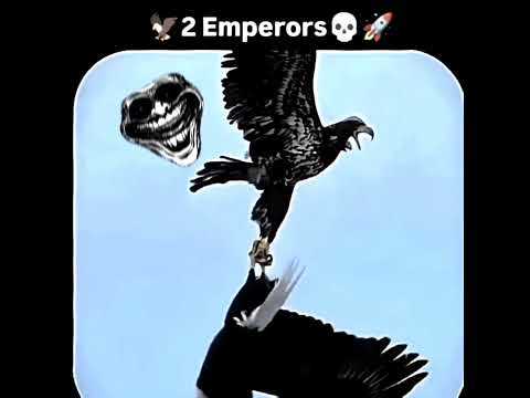 Golden eagle vs Bald Eagle 🤯🦅