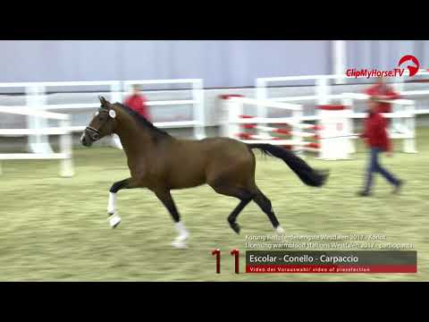 11 Junghengst v. Escolar - Conello