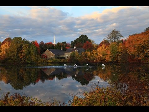 Wedge pond in Winchester, MA