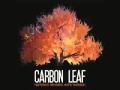 Carbon Leaf - Cinnamindy