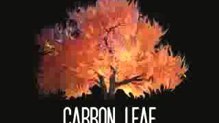 Carbon Leaf - Cinnamindy