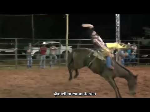 🇧🇷 Antônio Calheiros de Moraes x Bicho do Paraná #rodeio #cutiano