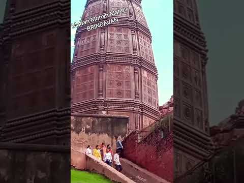 Madan Mohan Mandir in Vrindavan #shorts #vrindavan #krishna #flute #music #vrindavantemple