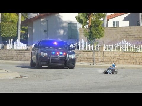 Cat Cop Chase - Aaron's Animals