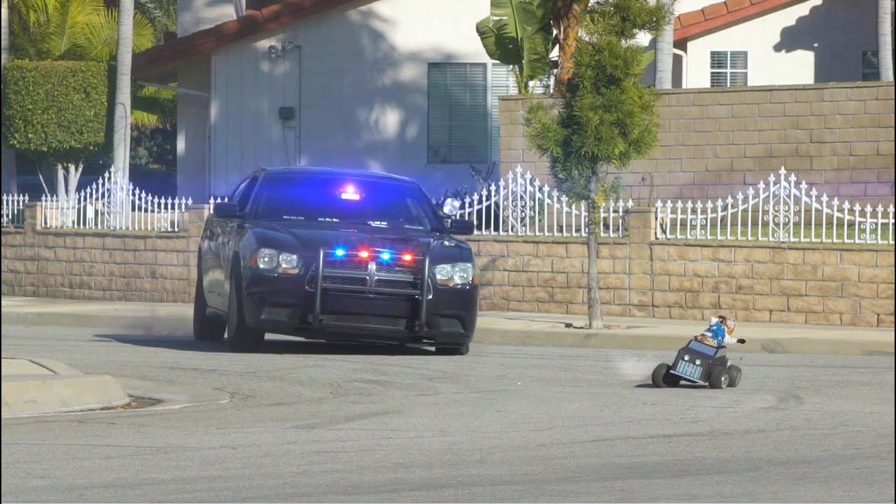 Cat Cop Chase - Aaron's Animals