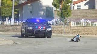 Cat Cop Chase - Aaron&#39;s Animals