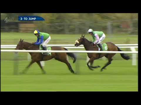 2013 Paddy Power Gold Cup Chase - Open meeting