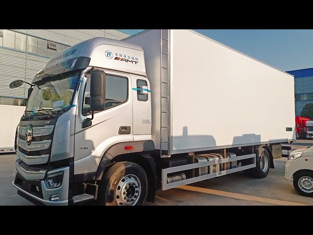 video of Foton AUMAN D flatbed truck 22T Diesel 4x2 Cargo truck 240hp Africa/Middle Asia