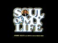 Harry Allen - Soul Of My Life (2007)