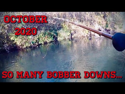 King Salmon Bobber Downs in Tight Water - SO MANY HOOKUPS - October 2020 - Part 1