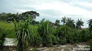 Download lagu Didikempot(kretek bacem) mp3