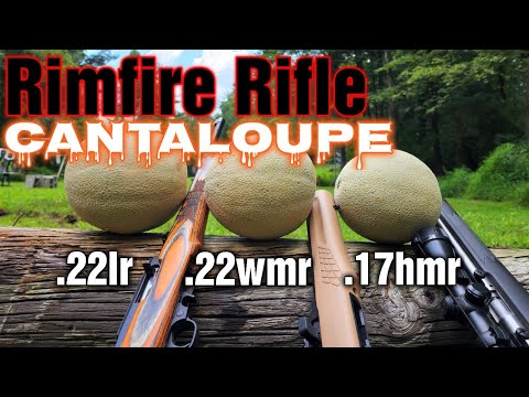 KANTALOUPEN vs. .22LR .22WMR .17HMR GEWEHRE